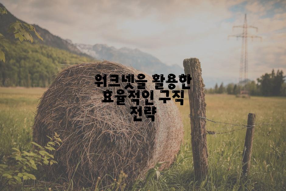 워크넷을 활용한 효율적인 구직 전략