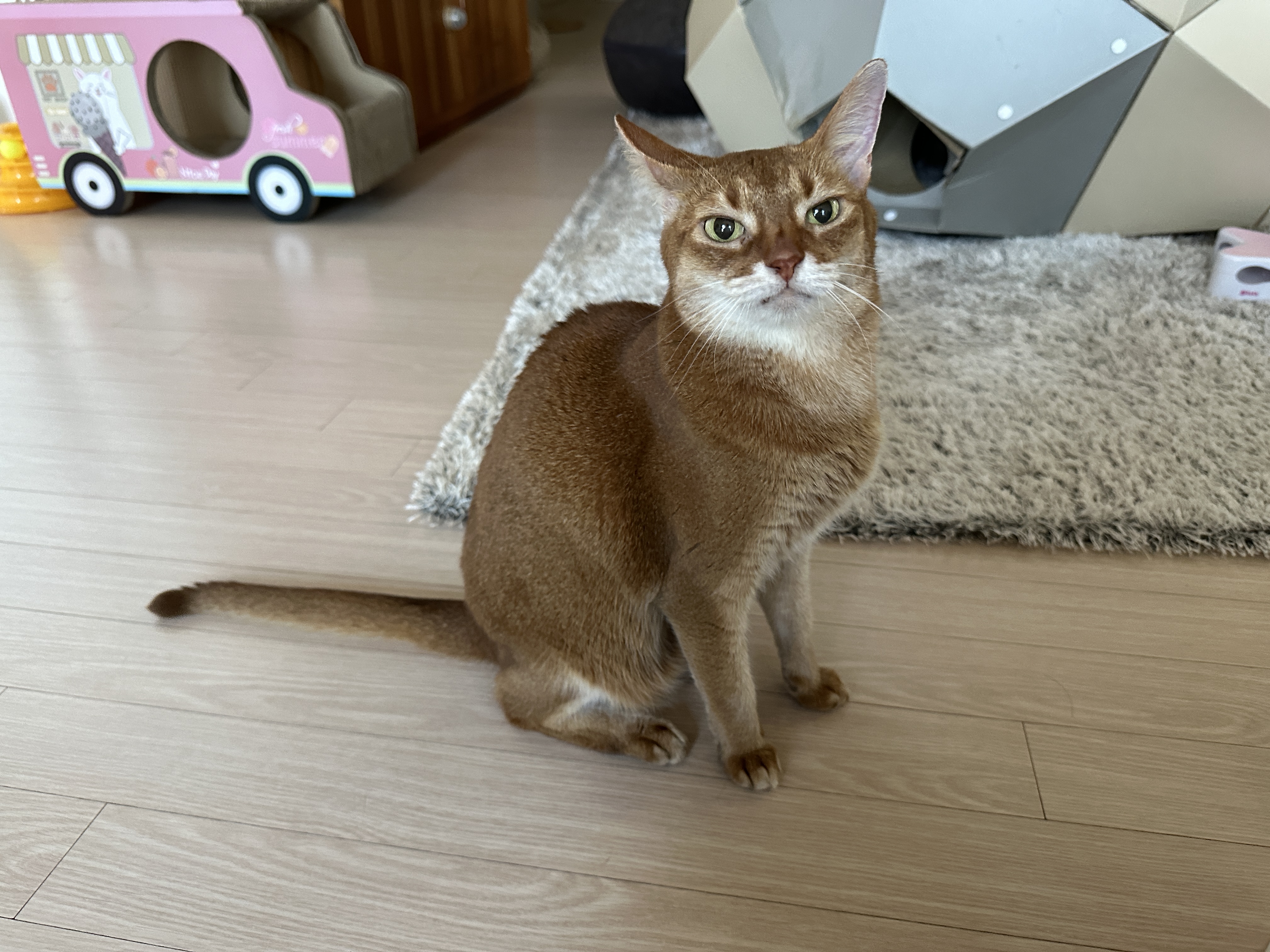 마취가_거의_다_풀린_루나