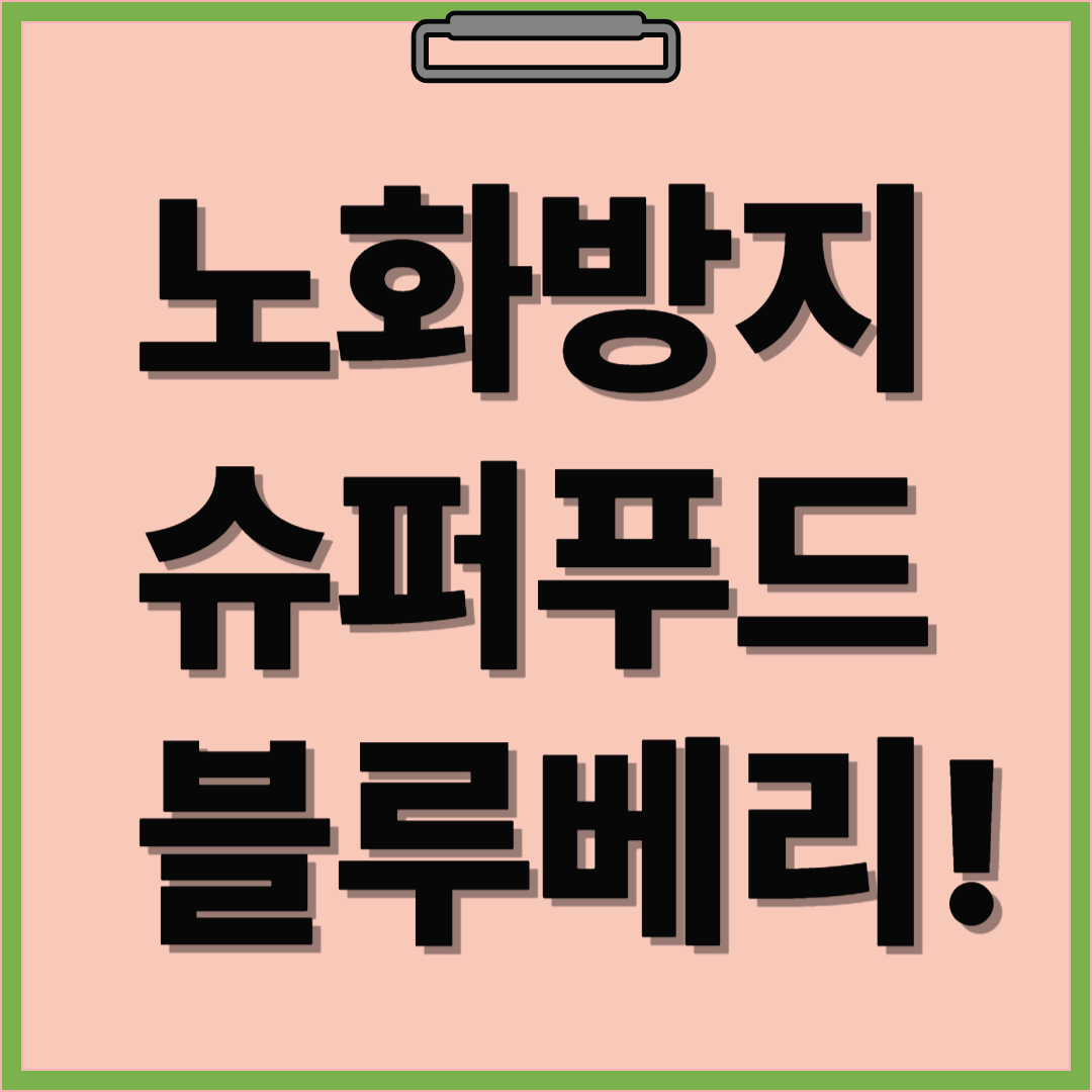 자연이 선물한 노화방지 슈퍼푸드, 블루베리! 항산화 효과로 건강을 지키는 비밀