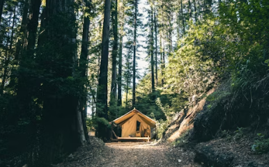 글램핑장 창업에 대하여 알아보기