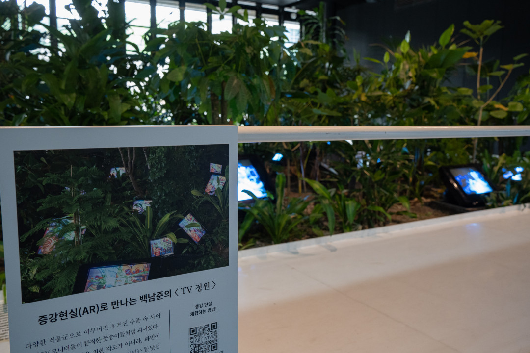 백남준 아트센터 TV정원