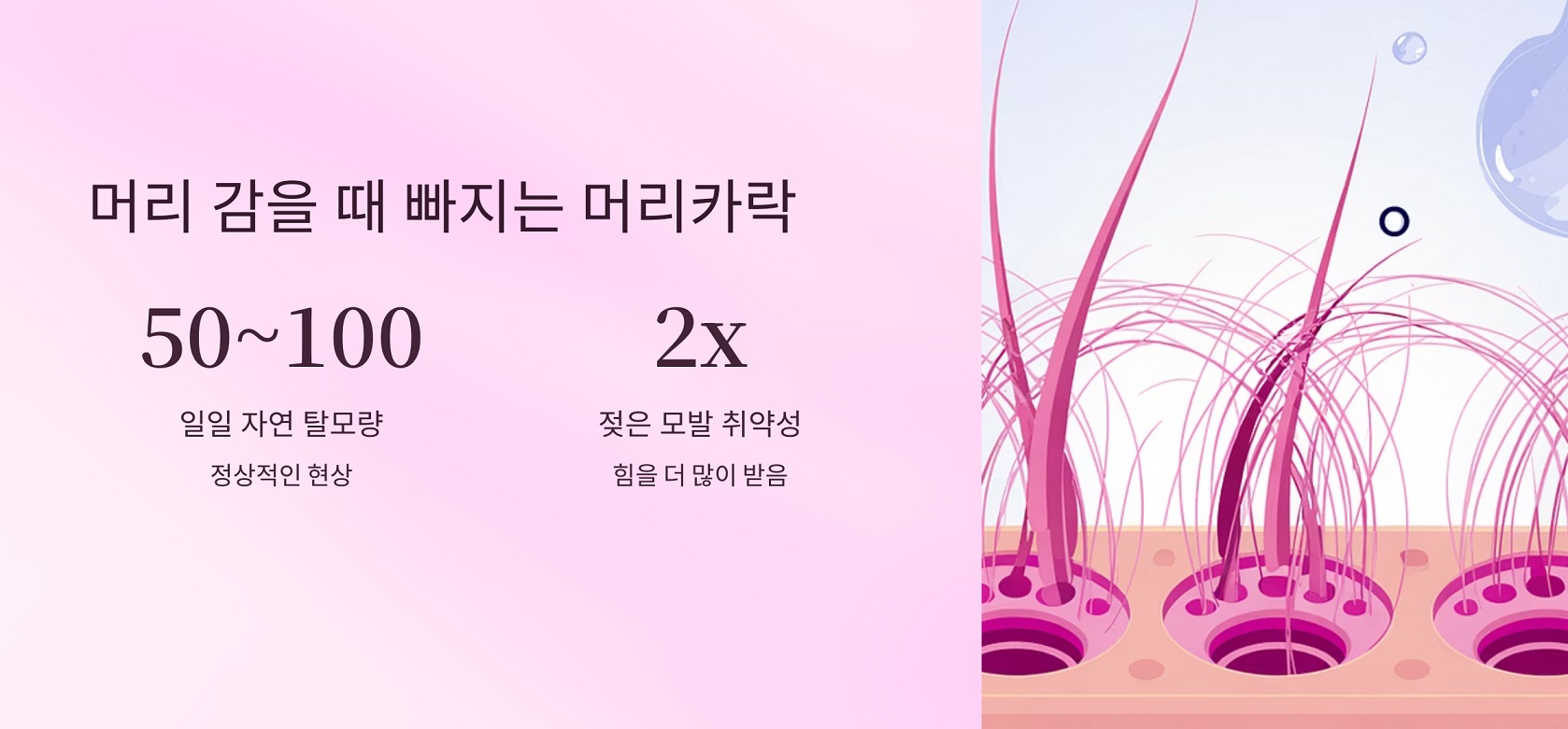 머리 감을 때 머리카락이 빠지는 이유