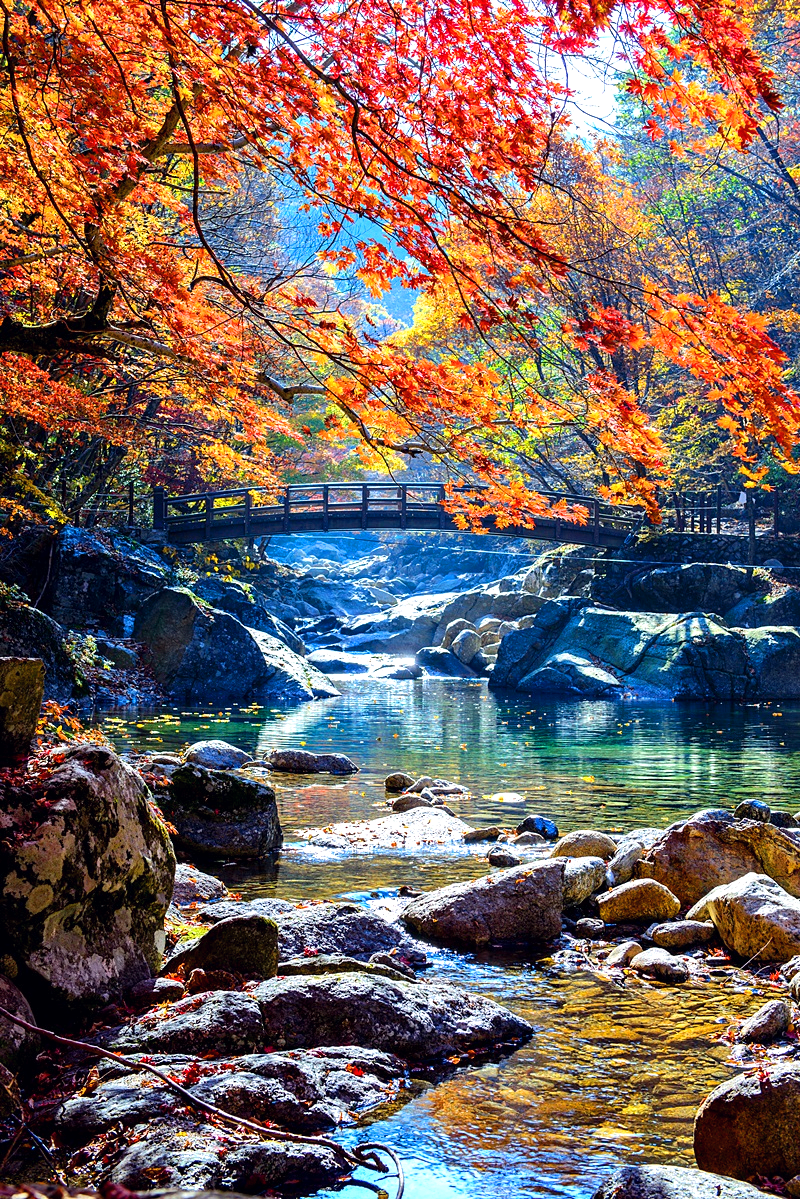 지리산뱀사골