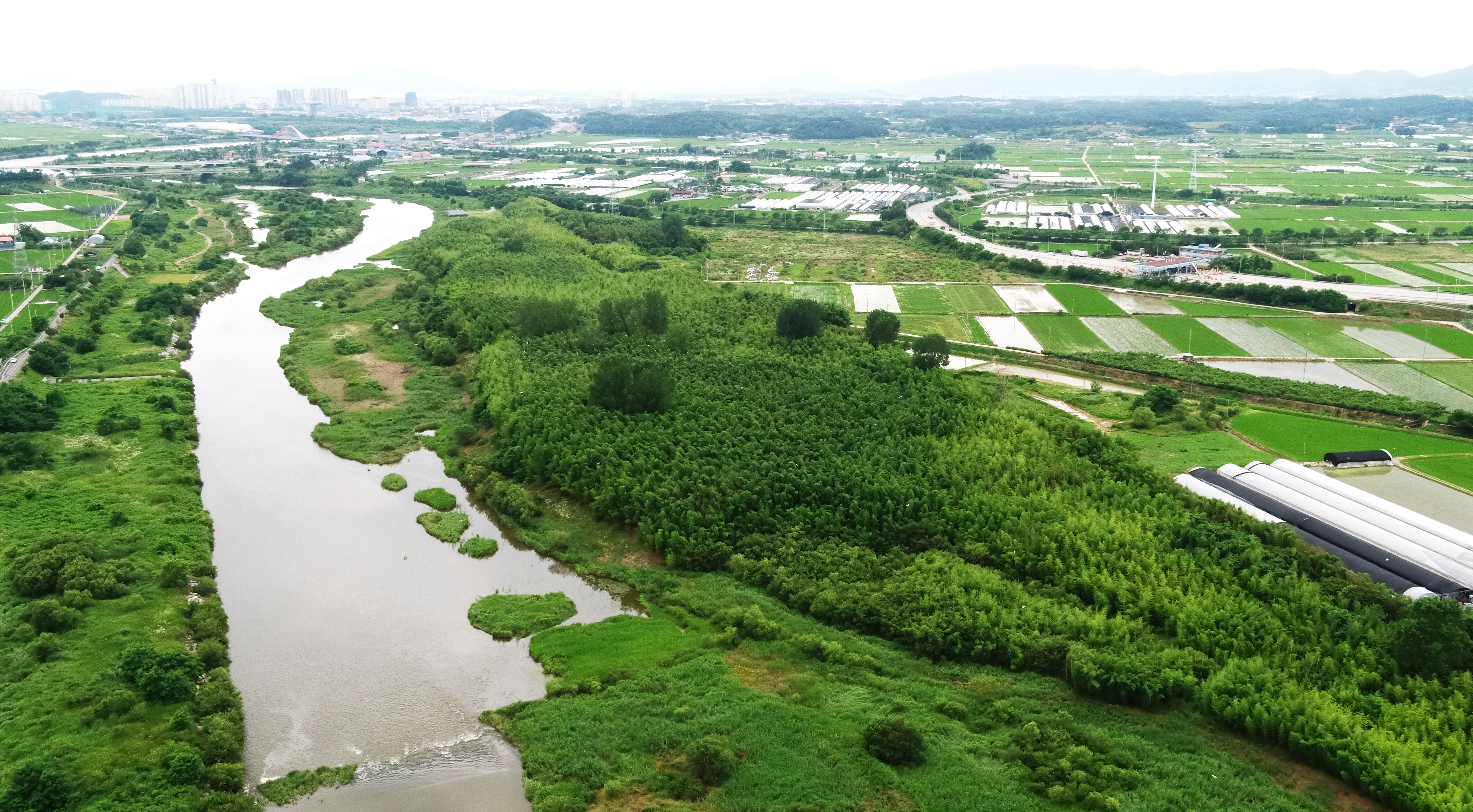 담양 5일장 주변 관광명소