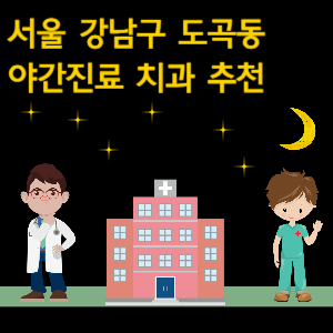 강남구 도곡동 치과 야간진료 병원 추천