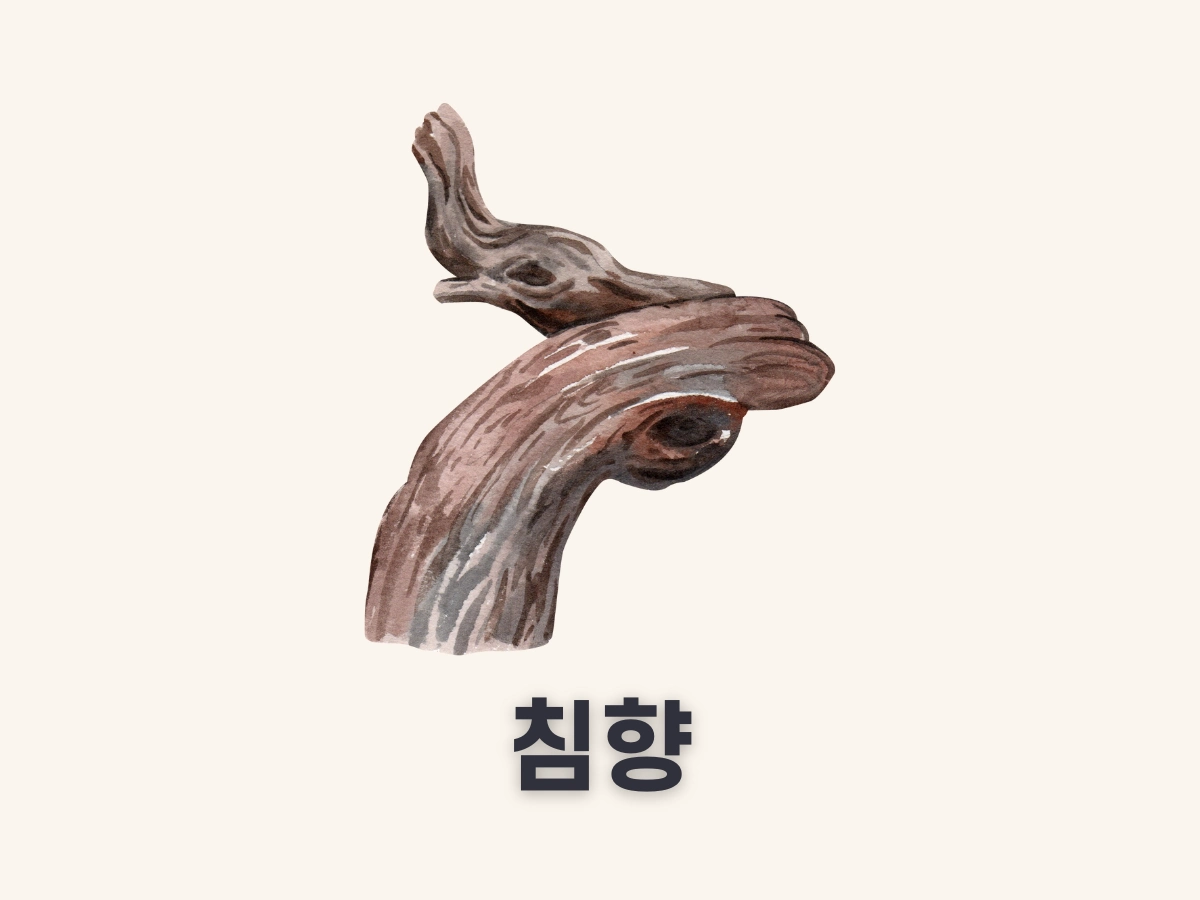 침향