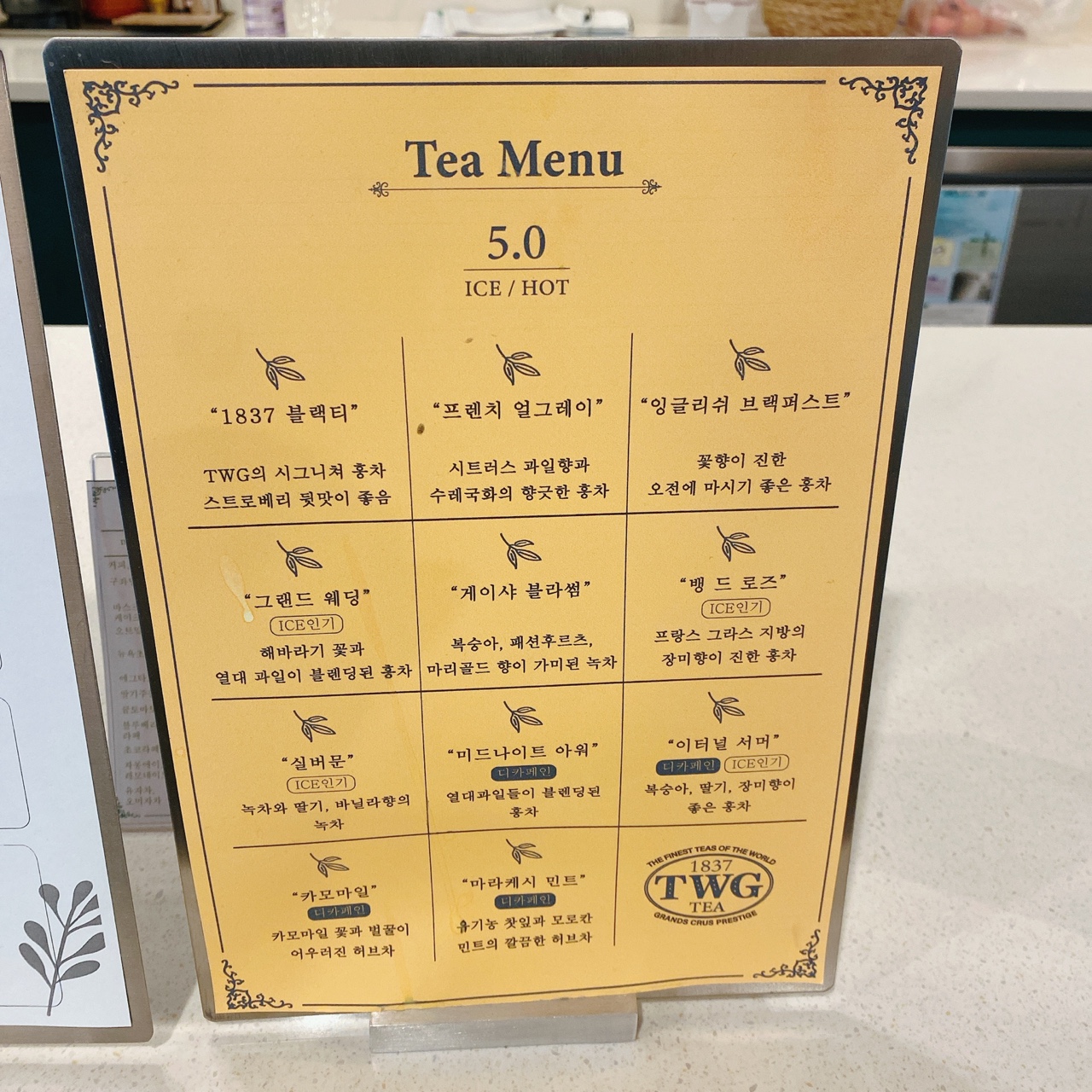 제주 공항라운지 트립1849카페