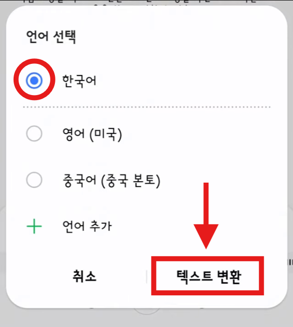 방법 4: 언어 설정 및 변환 실행하기