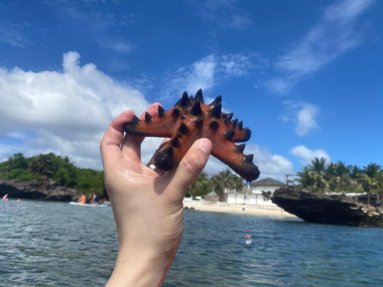 보라카이여행 액티비티