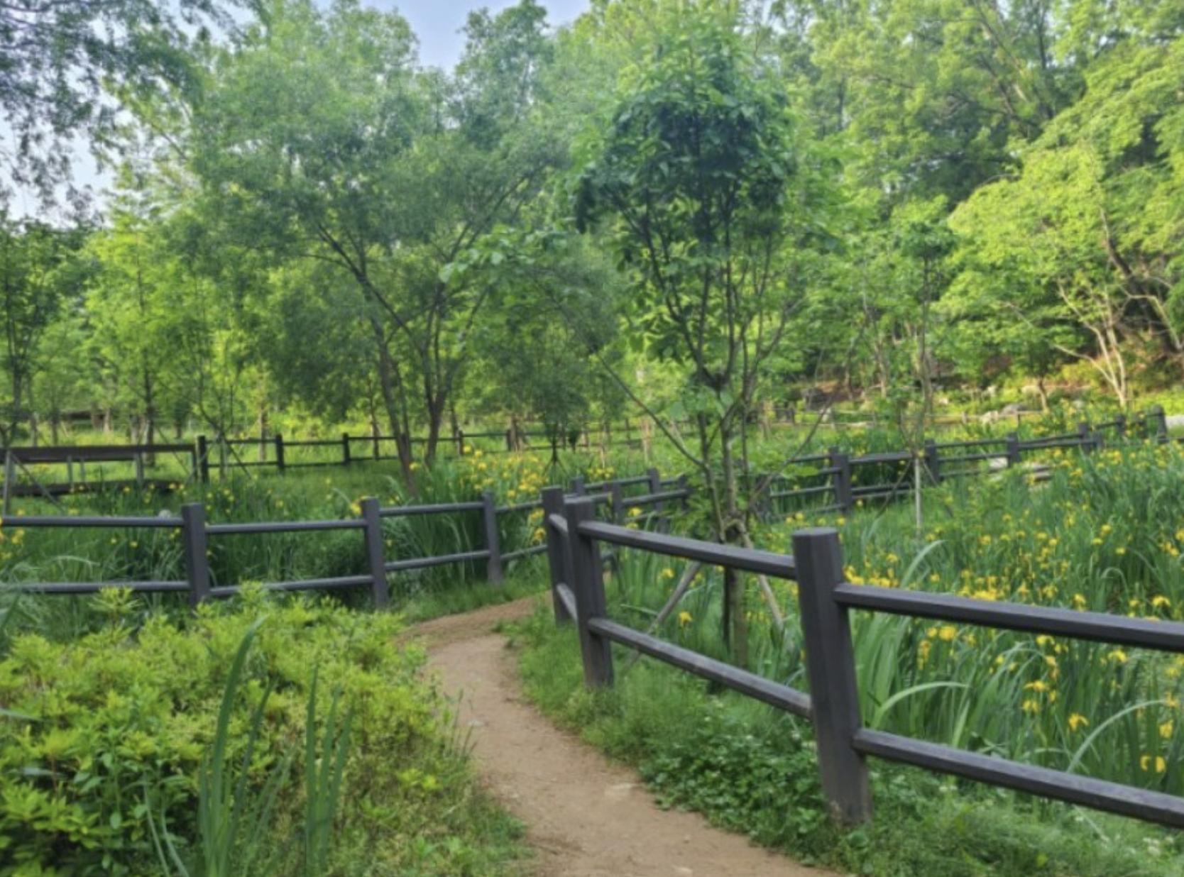 신림동 선우공원