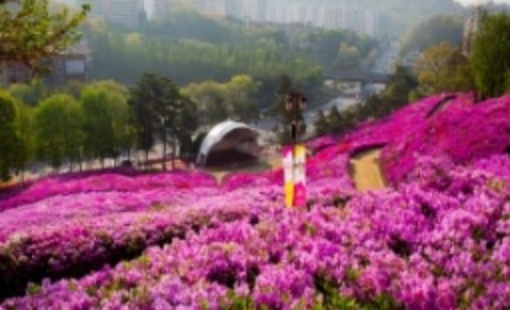 군포 철쭉축제 초대가수 및 일정 총정리