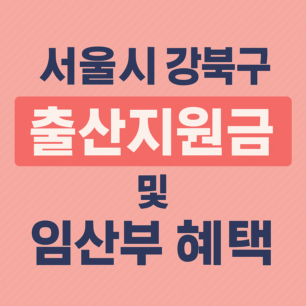 서울시 강북구 출산지원금 및 임산부 혜택