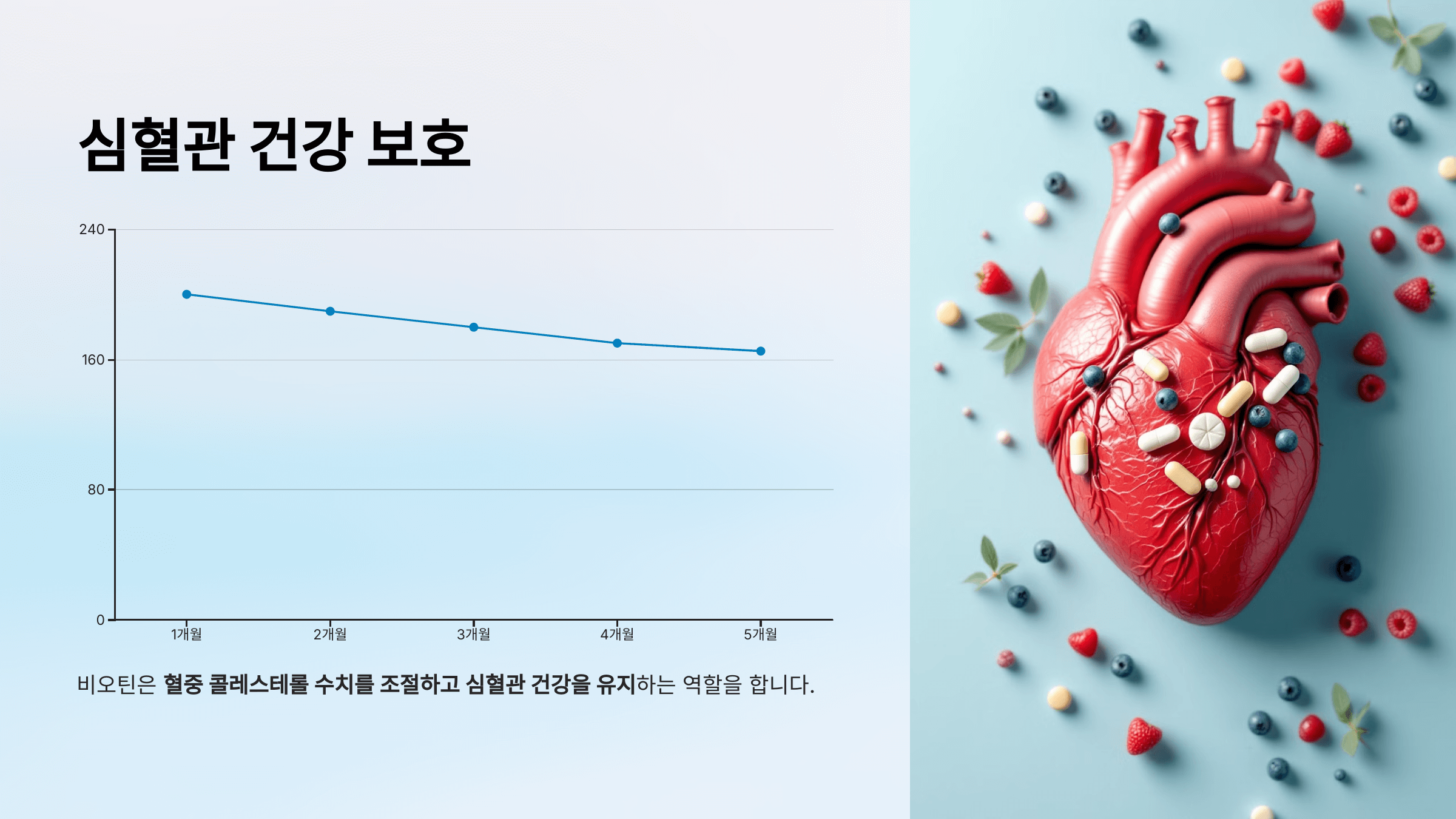 비오틴과 관련된 사진입니다.