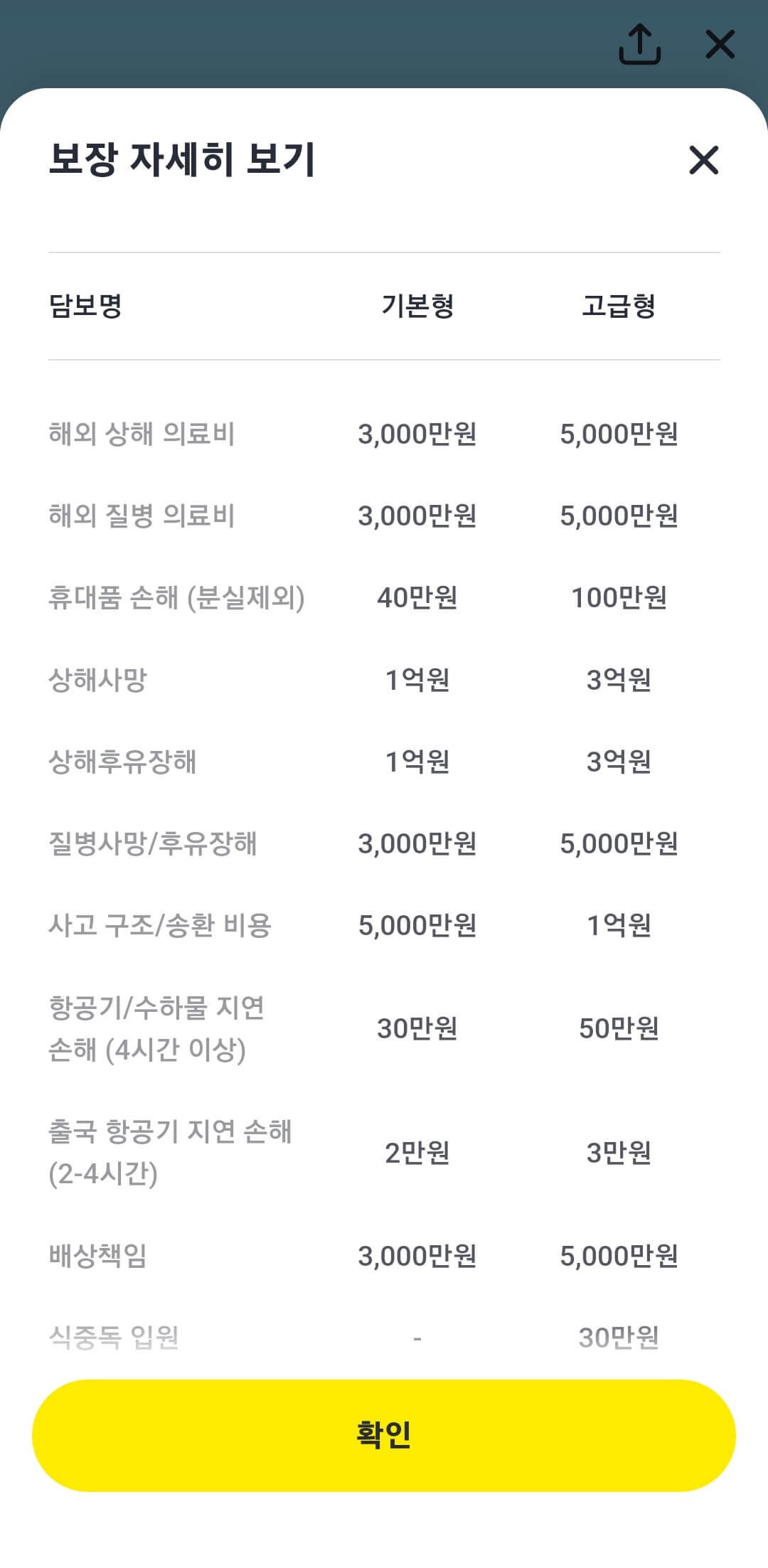 카카오페이 여행자보험