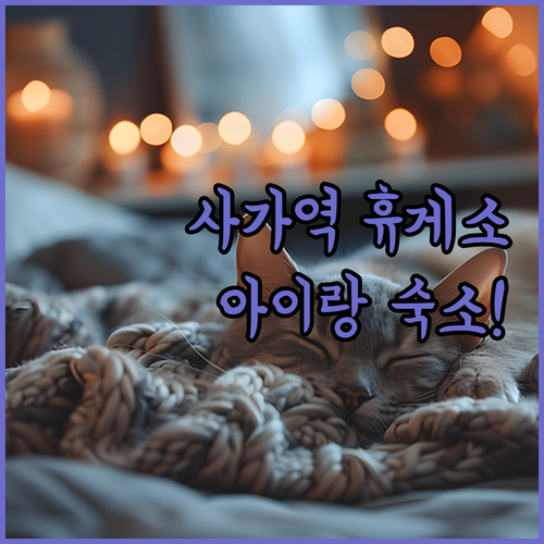 아이랑 사가 여행 필수 코스 사가역 ..