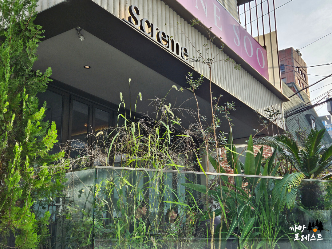 스크렘 강남역