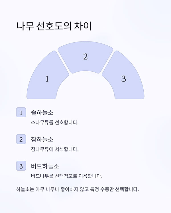 나무 종류에 따라 선호도도 다르다