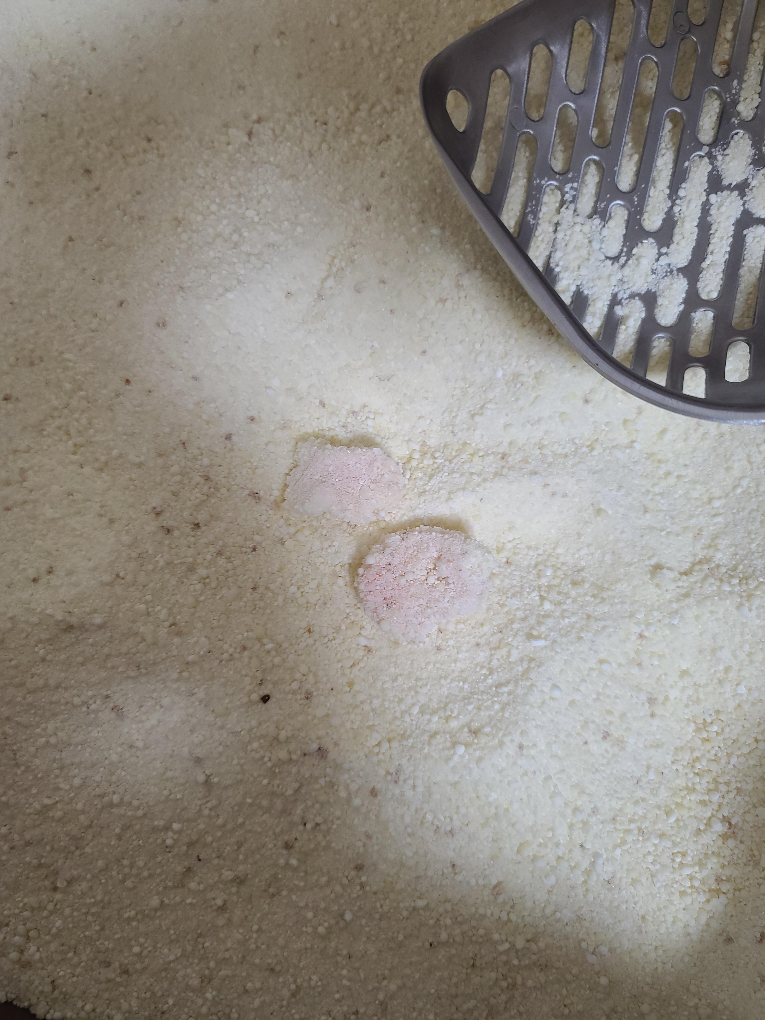 고양이 모래와 화장실의 중요성. 고양이 화장실 변천사