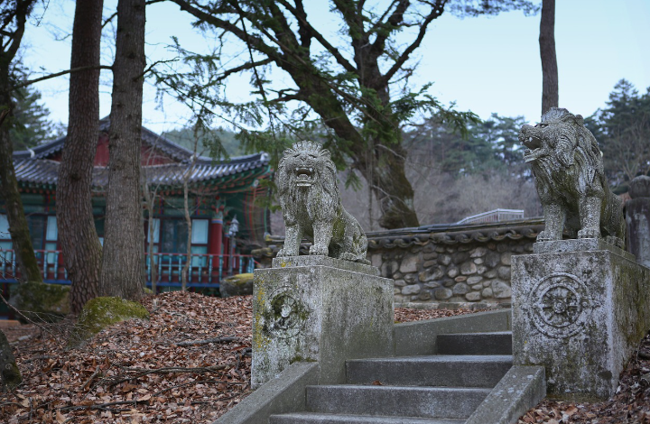 중장년층 추천 김천 힐링, 전통 시장, 산책 사진