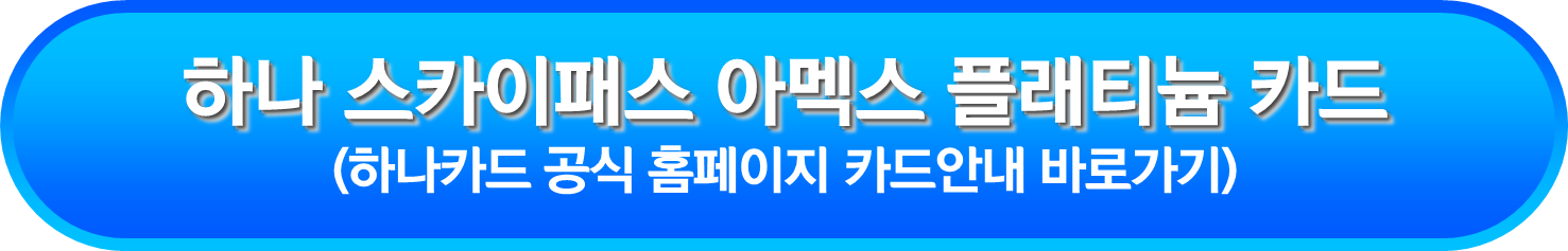 하나 스카이패스 아멕스 플래티늄 카드