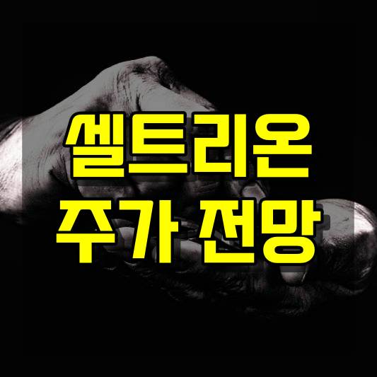 셀트리온 주가 전망