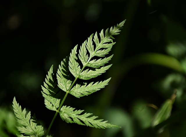 탄소중립포인트 가입 방법