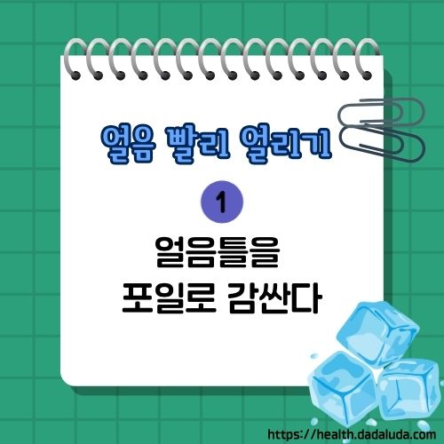 얼음 어는 시간 얼음 빨리 얼리는 법