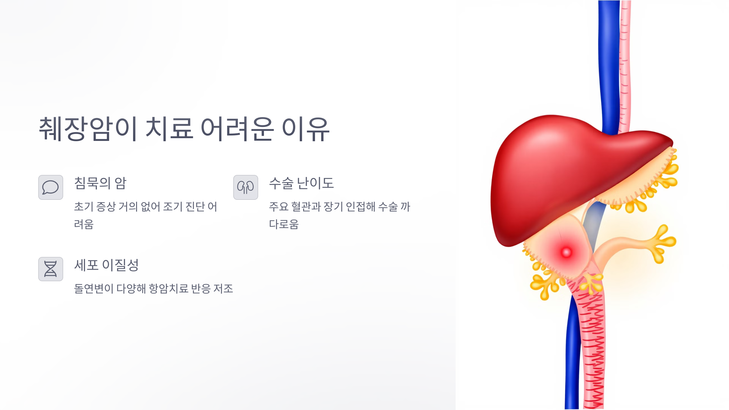 췌장암이 치료 어려운 이유