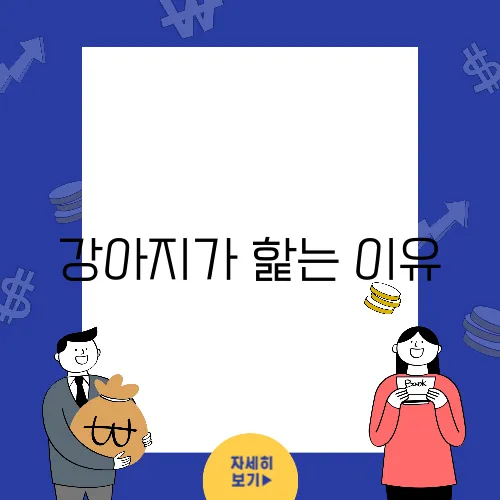 강아지가 핥는 이유, 얼굴과 발에 담긴 의미를 알아보자