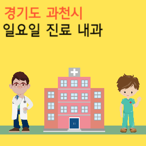 경기도 과천시 일요일 진료 내과