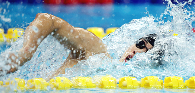 파리올림픽-수영-일정