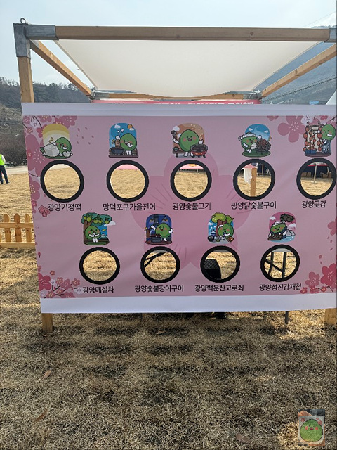 2025 광양매화축제 개화상황 주차장 실시간 입장료