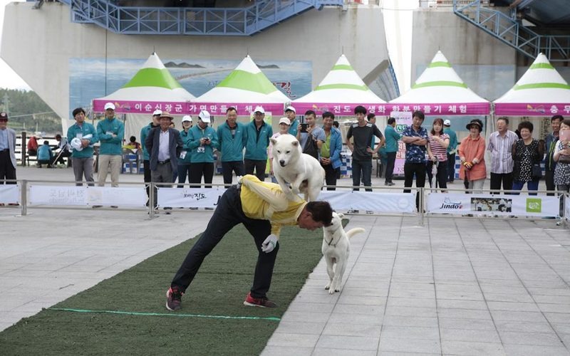 2026 명량대첩축제 일정
