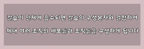  칼슘이 인체에 흡수되면 칼슘의 구성분자와 결합하여 체내 여러 조직의 세포들과 조직들을 구성하게 됩니다