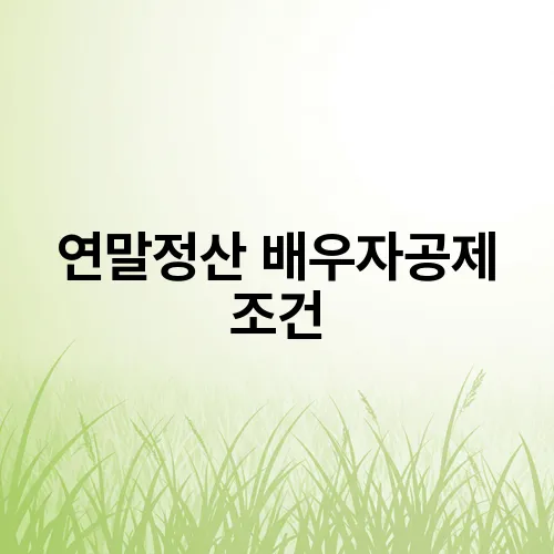 연말정산 배우자공제 조건