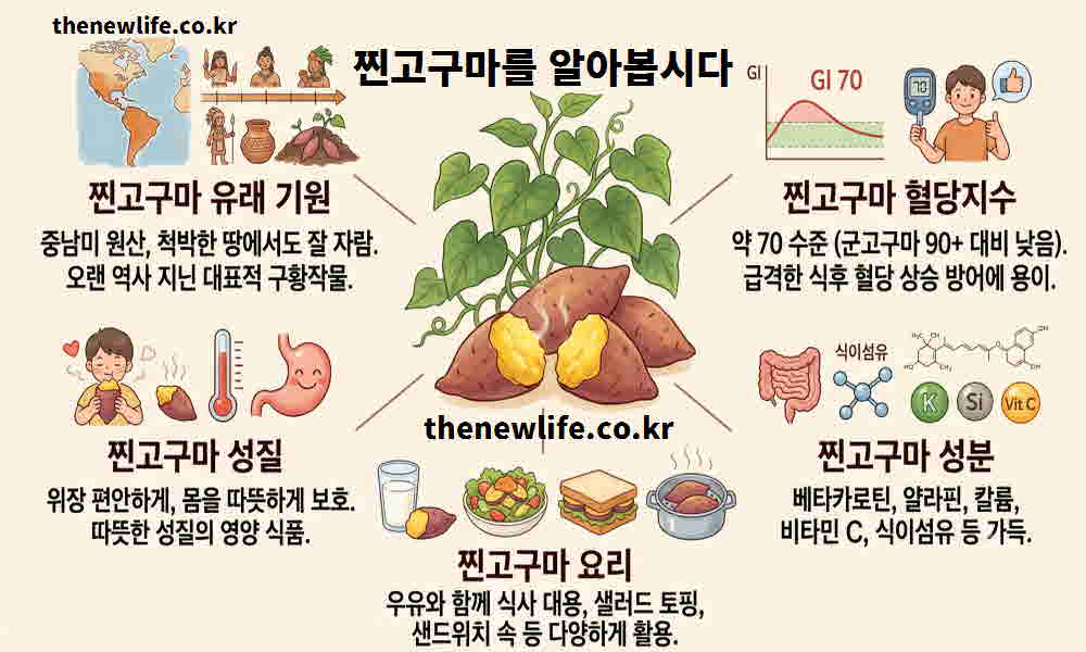 찐고구마 효능 기본정보