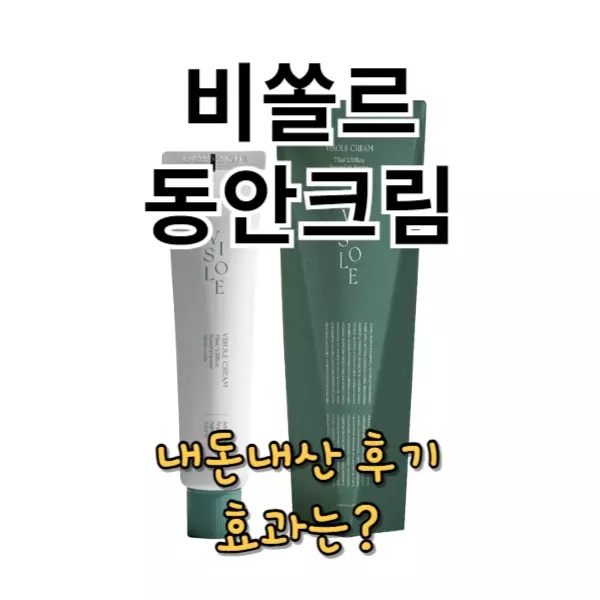 비쏠르 동안크림 내돈내산 후기 효과 알아보기
