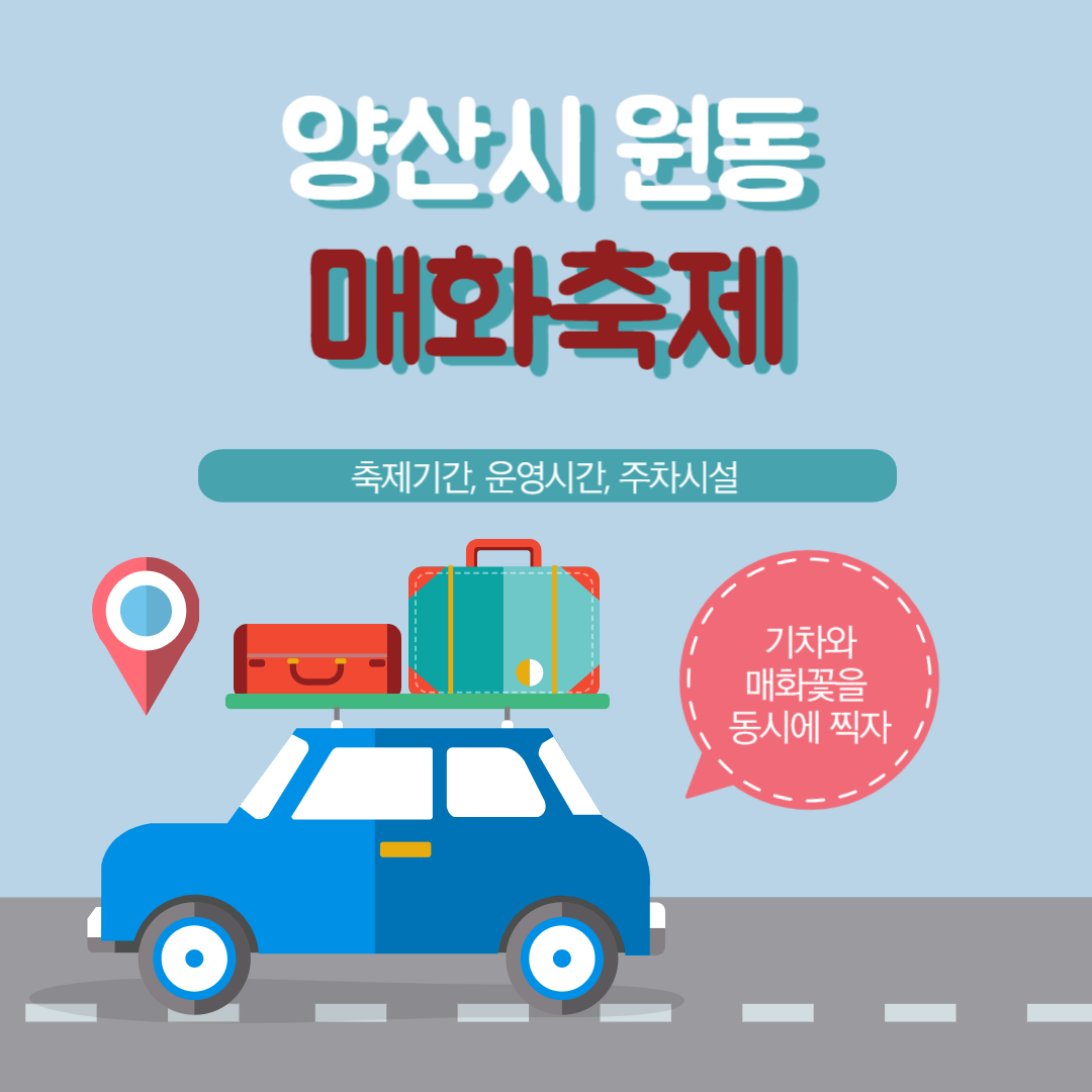 양산시 원동 매화축제