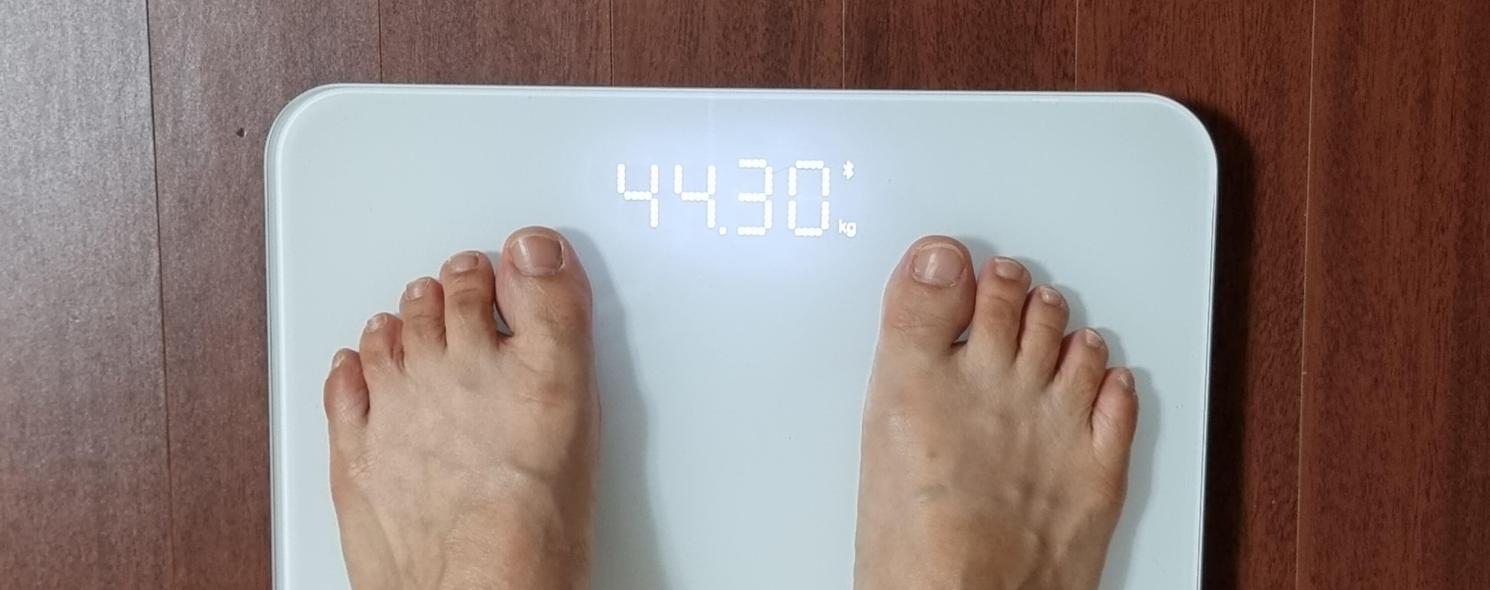간헐적 단식
