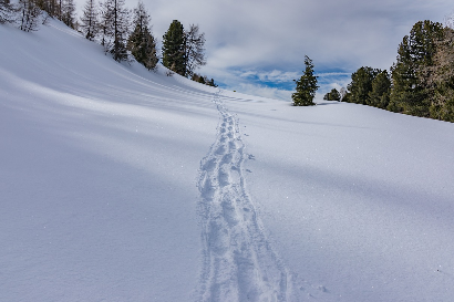 소설 눈길 속 눈길 이미지