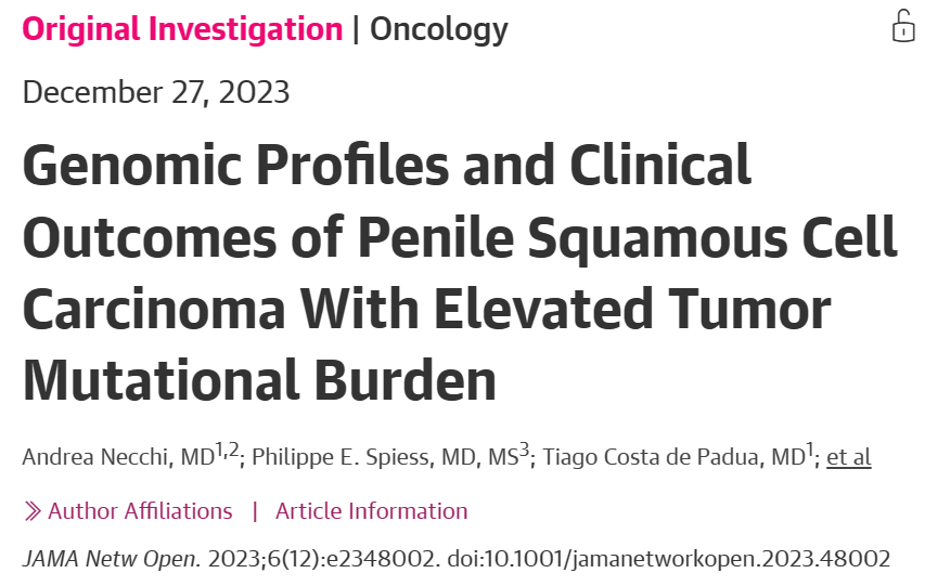 고 수준의 종양 돌연변이 부하를 갖는 음경 편포세포암의 유전자 프로필과 임상 결과