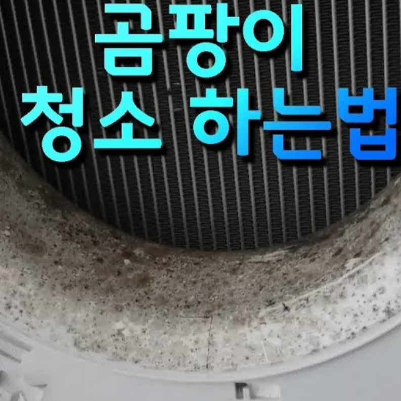 에어컨 청소 안 하면 생기는 일 5가지 (경험담 중심)