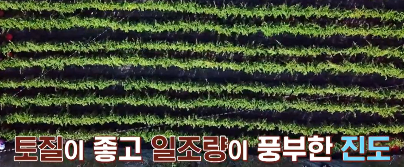 홍국 발효 구기자 분말 가루 먹는법