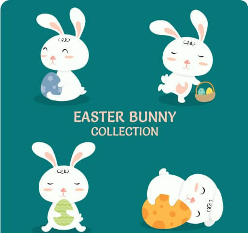 여러 토끼의 모습