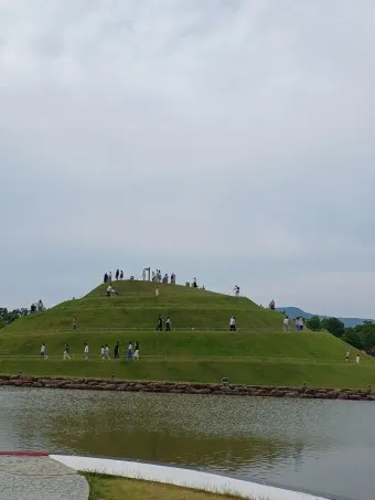 순천 가볼만한곳 베스트10 순천만 갈대밭 숨겨진 명소_7