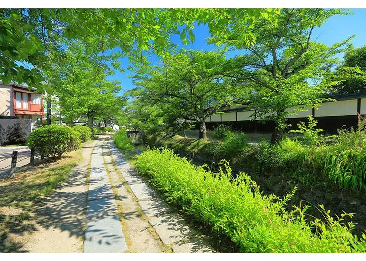 약 2km 이어지는 교토의 정취가 넘치는 산책길 ‘철학의 길’