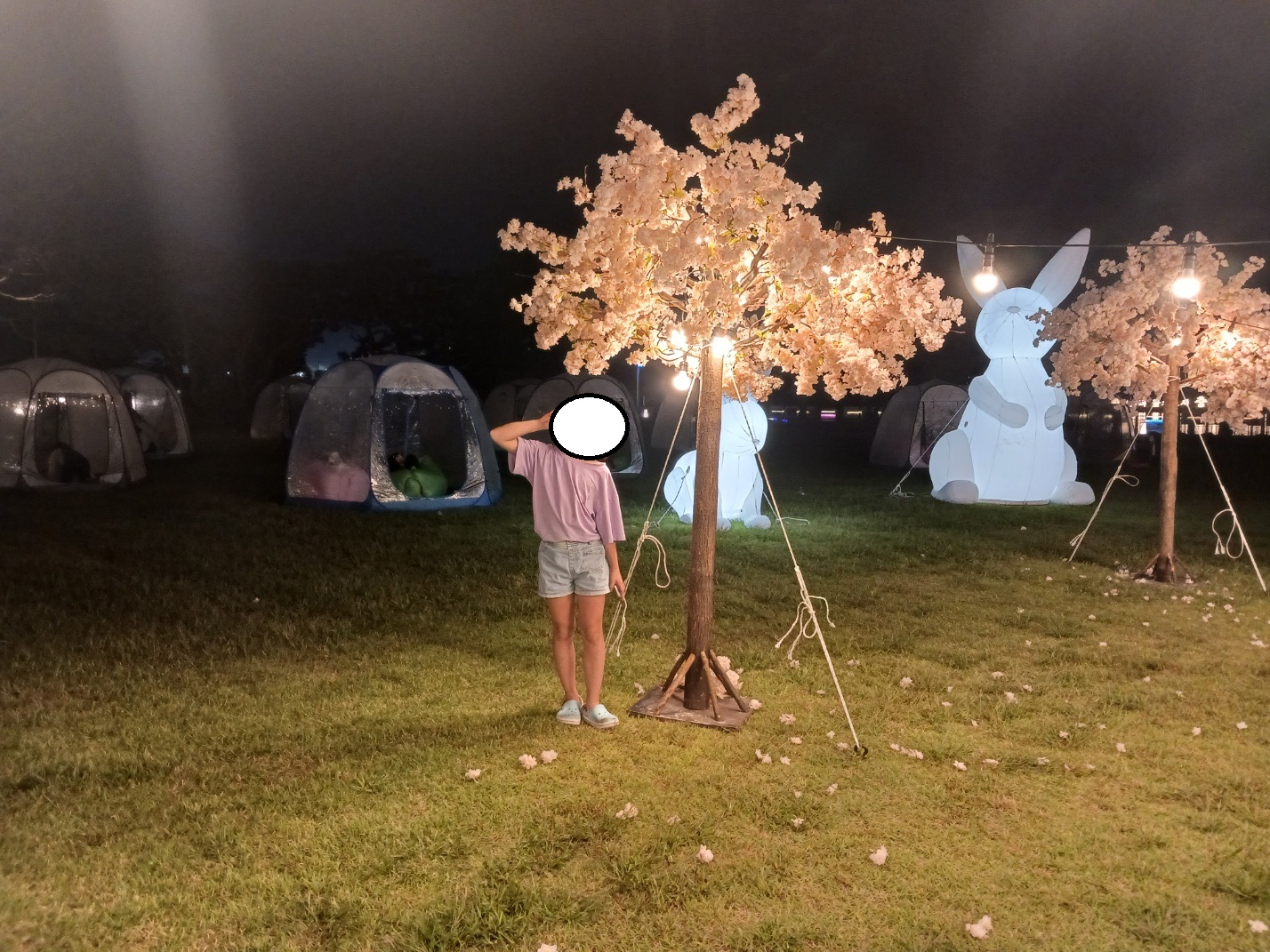 중앙탑축제