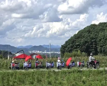 원주 용수골 가을꽃축제_18