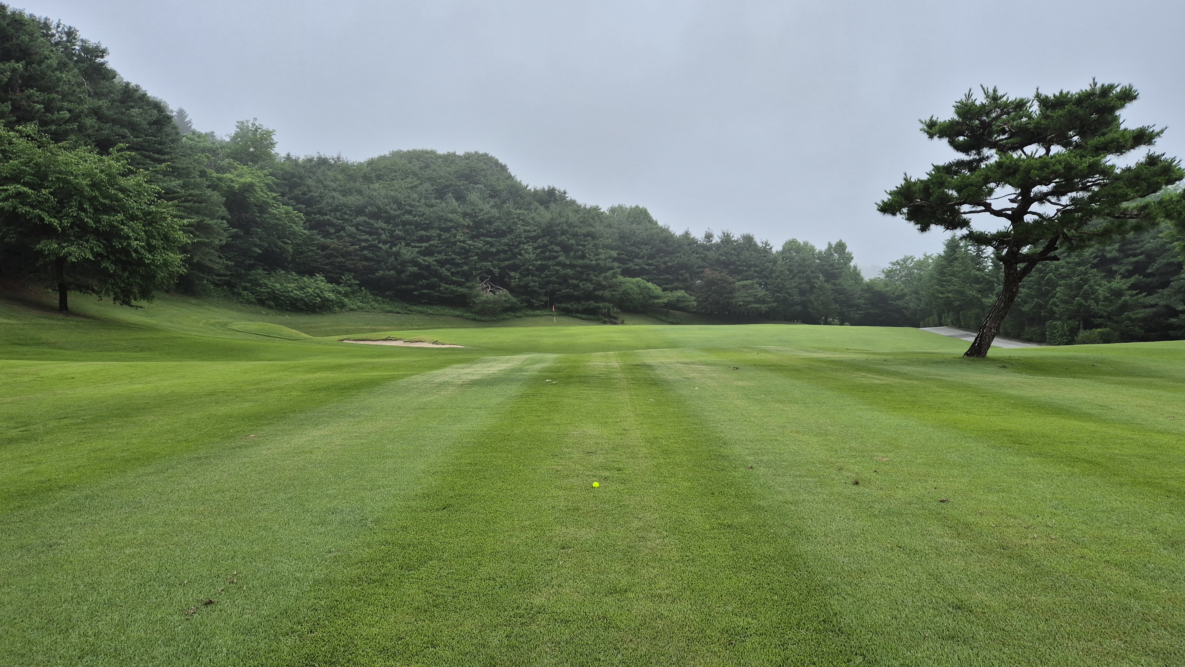 뉴스프링빌cc 공략 정보