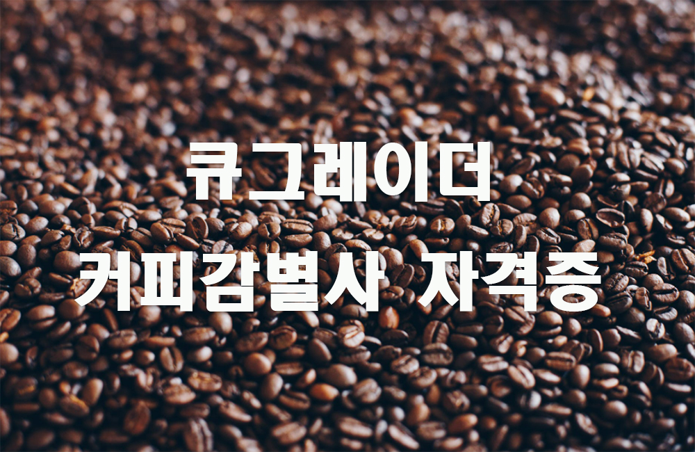 큐그레이더자격증